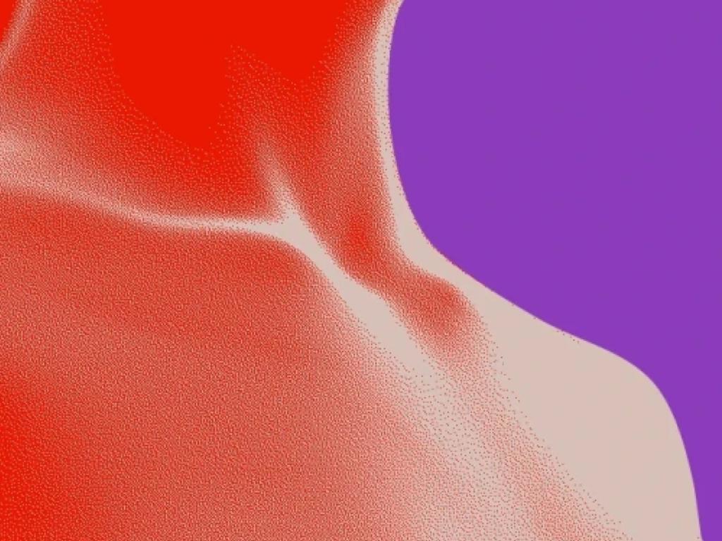 Body illustration of a human.